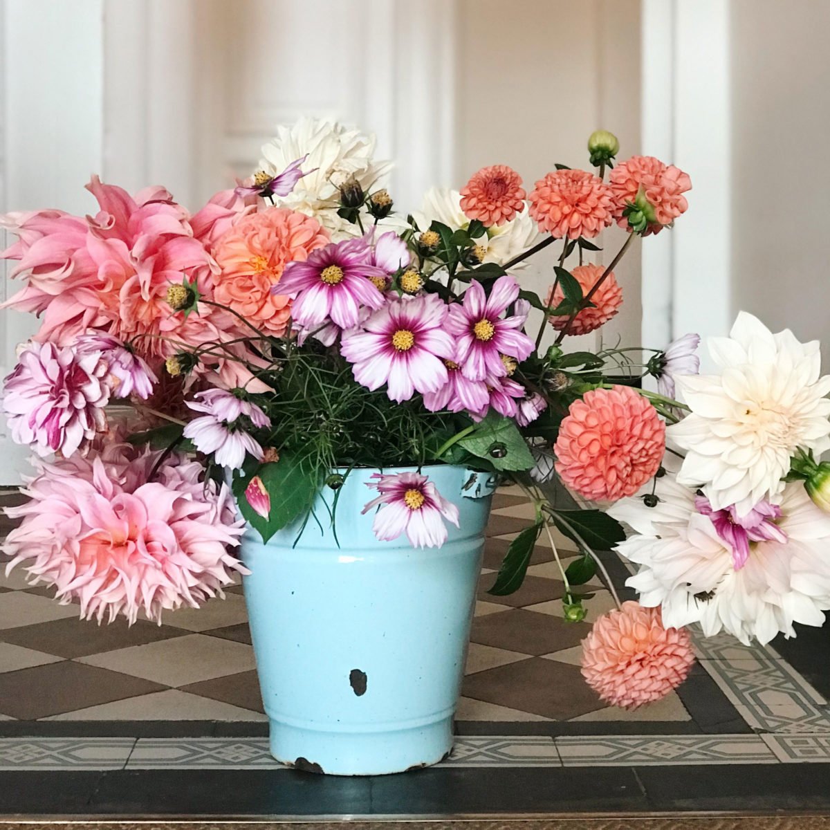 In 5 Schritten einen Schnittblumengarten anlegen