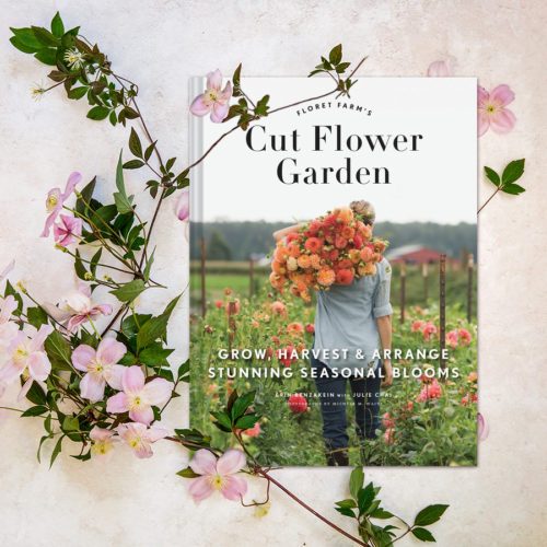 Cut Flower Garden | Grow, Harvest & Arrange Stunning Seasonal Blooms