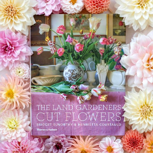 Blumenhaus Magazine Issue 2