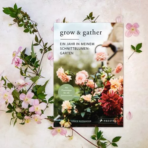 grow & gather | Ein Jahr in meinem Schnittblumengarten