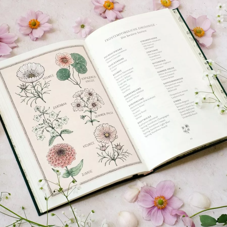 Flower Notes Jora Dahl Marion Rekersdrees