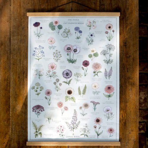 Kunstdruck Marion Rekersdrees Zeichnungen Poster Blumensamen Saatgut Bilderleiste Creamore Mill