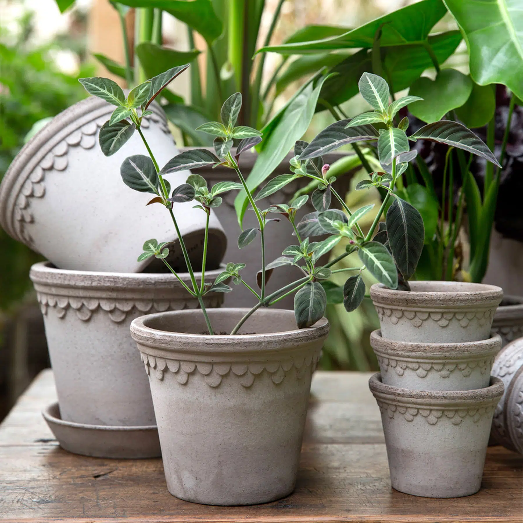 Bergs Potter Copenhagen Pot - grey - Jora Dahl