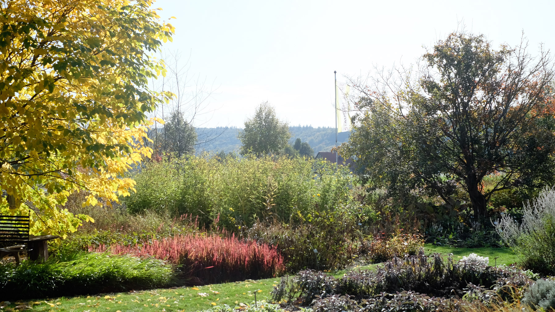 Staudengaertnerei Beet im Herbst