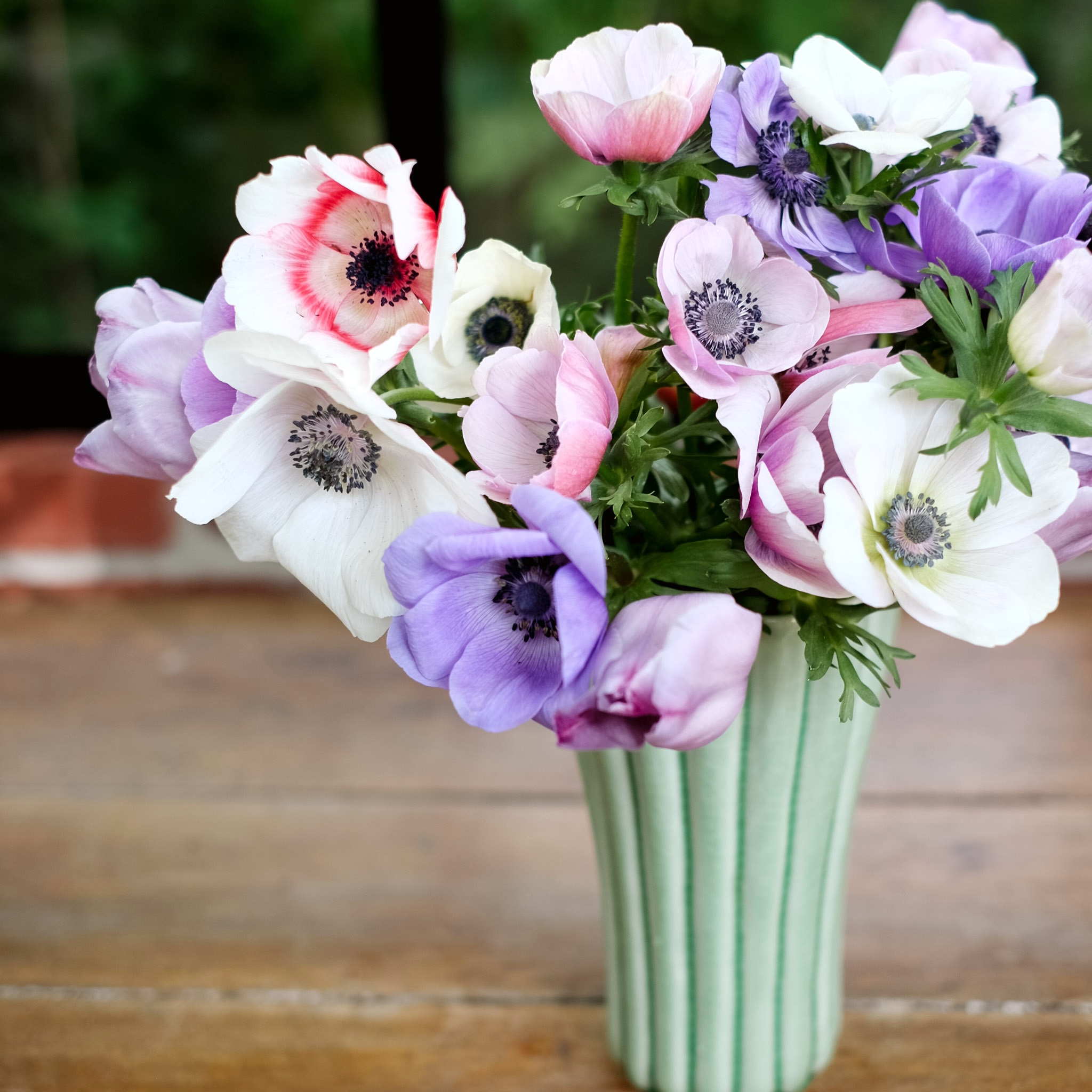 Anemonenstrauß