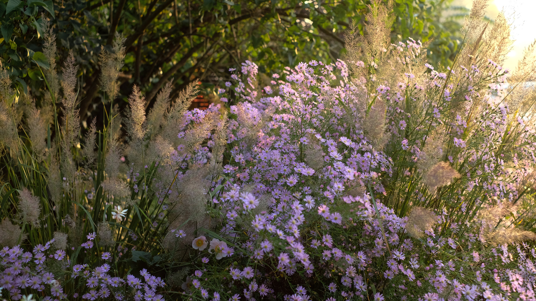 Garten winterfest machen
